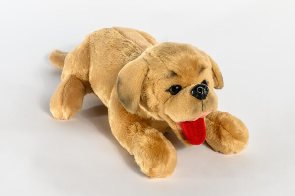 Hundewelpe Puppy von RobiCare.