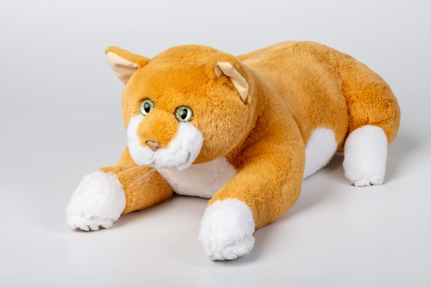 Aktivkatze von RobiCare.